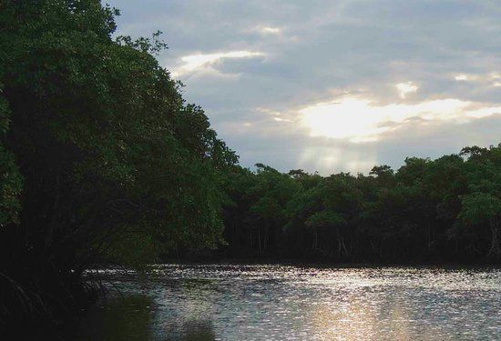 Guaratiba Biological Reserve